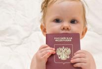 Документ удостоверяющий наличие гражданства рф у ребенка Что является документом подтверждающим гражданство ребенка